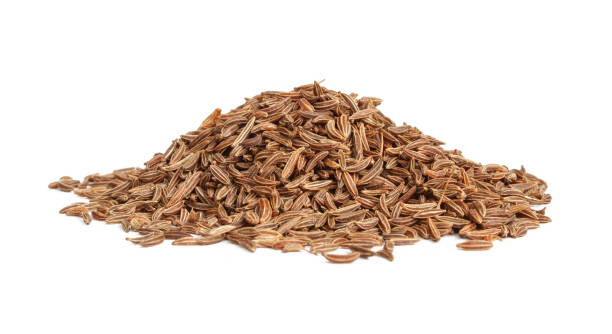 pile of brown cumin seeds isolated on white background. aromatic caraway spice - caraway imagens e fotografias de stock