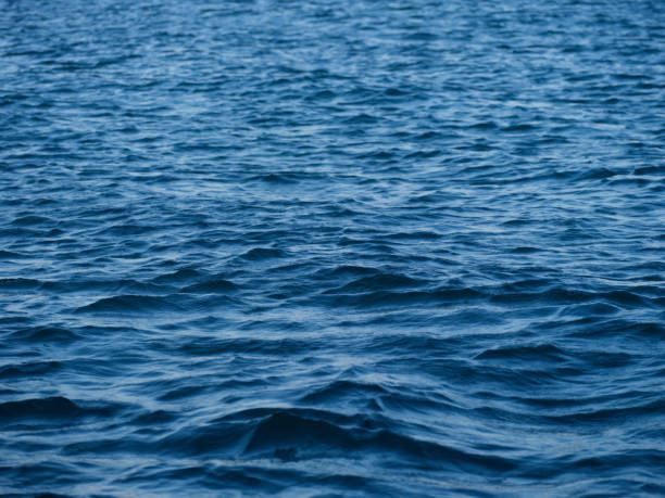 istock relaxing sea waves in summer 1410527994
