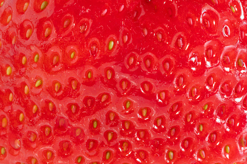 Background detail of a strawberry seen very closely