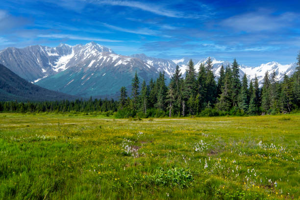 vista de drones de moose meadow, girdwood, alaska - girdwood fotografías e imágenes de stock