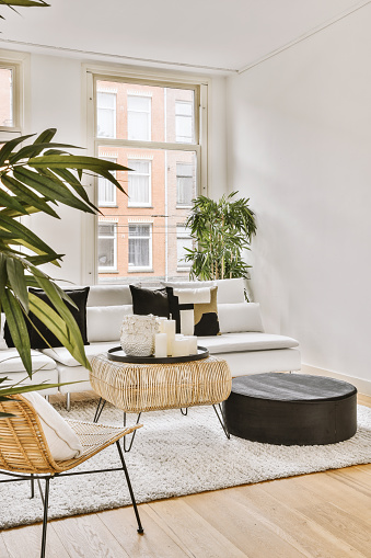 Acogedor salón en tonos claros en una casa moderna photo