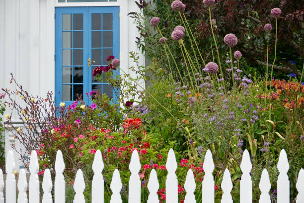 Quaint cottage garden with vintage white picket fence Quaint cottage garden with white fence mendocino county photos stock pictures, royalty-free photos & images