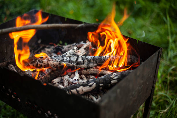 istock Bonfire in nature. Dry branches are burning. Burning firewood. Flames from coals. 1410545884