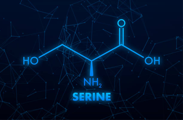 formuła seryny. seryna lub l-seryna, ser, s, cząsteczka aminokwasu. - s stock illustrations