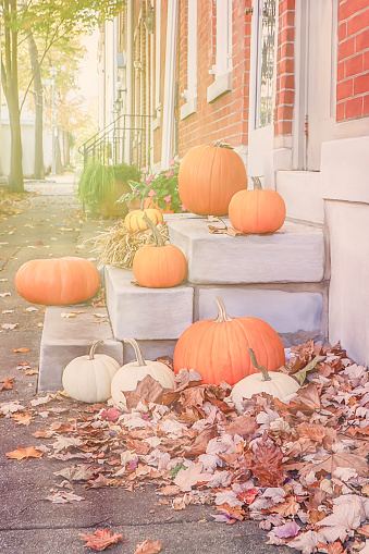 Street autumn decor