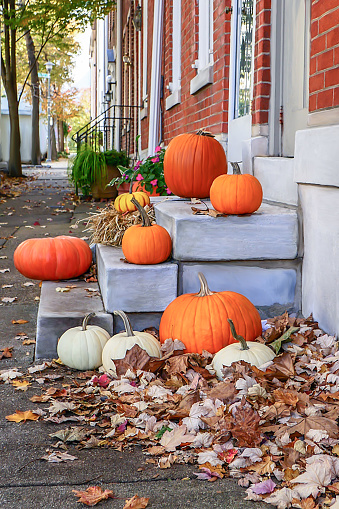 Variety of pumpkins on the steps of Philadelphia