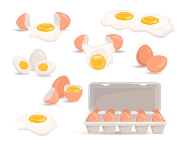 zestaw jaj - eggs animal egg cracked egg yolk stock illustrations