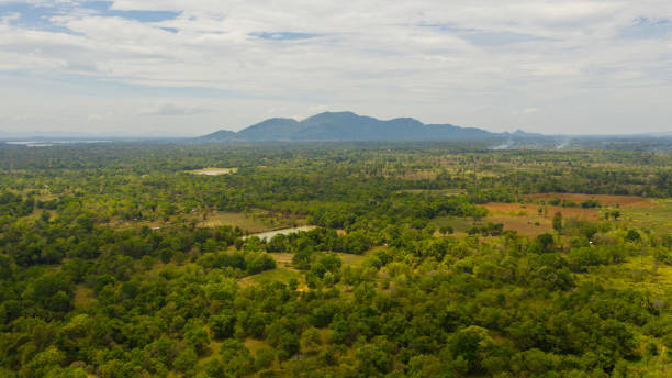 istock Rural landscape in Sri Lanka. 1410569909