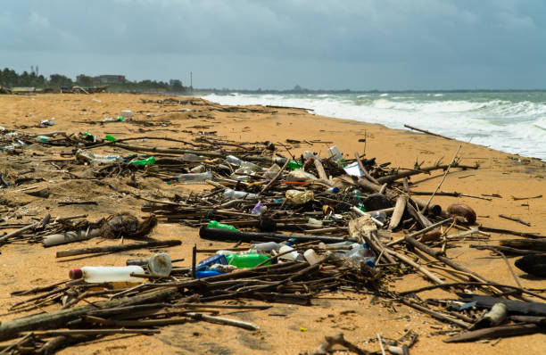 istock Polluted beach after a storm. Negombo, Sri Lanka. 1410569961