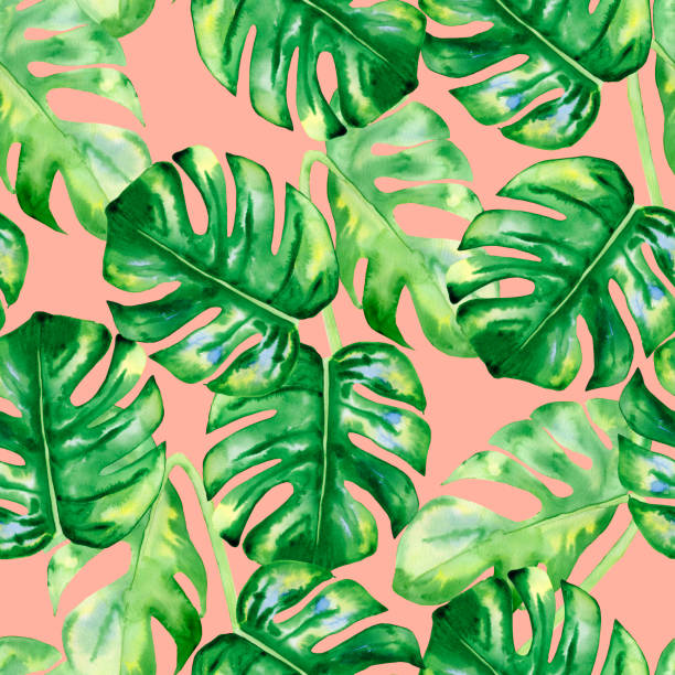 istock Monstera leaves seamless watercolor pattern. Green tropical leaves endless hand drawn background. Exotic natural wallpaper. Print for textiles and clothes. 1410570022