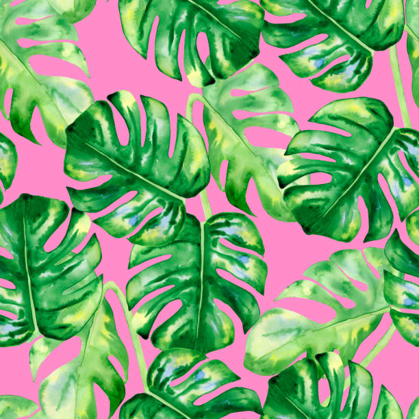istock Monstera leaves seamless watercolor pattern. Green tropical leaves endless hand drawn background. Exotic natural wallpaper. Print for textiles and clothes. 1410570025