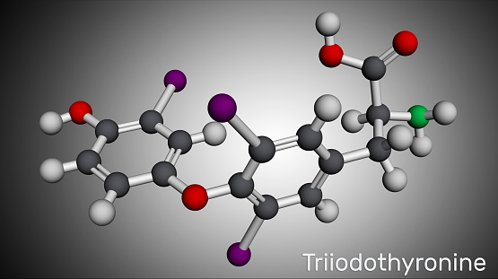 トリヨードチロニンt3リオチロニン分子甲状腺ホルモン下垂体ホルモンです分子モデル3dレンダリング 3Dのベクターアート素材や画像を多数ご