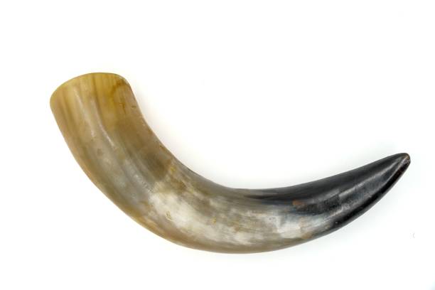 istock Animal horn for drinking in ancient barbarian peoples. Isolated on white background 1410576018
