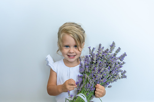 A white Eastern European child 2 years old holds a bouquet of lavender flowers in her hands