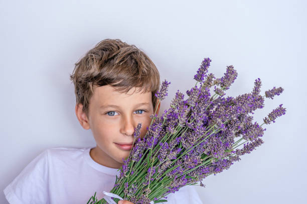 un niño blanco de europa del este de 10 años sostiene un ramo de flores de lavanda en sus manos - 10 11 years little boys child happiness fotografías e imágenes de stock