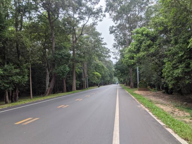 istock Road To Angkor Wat Temple 1410583990