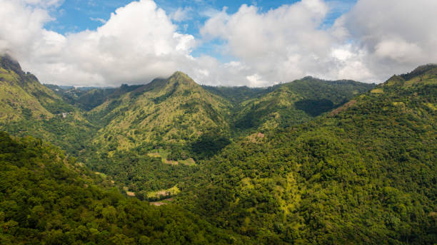 istock Mountain slopes covered with rainforest and jungle. 1410587619
