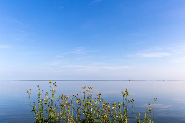 Coast line at Terschelling, The Netherlands
