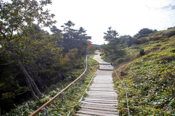 istock Mt. Hallasan, Jeju Island 1410596276