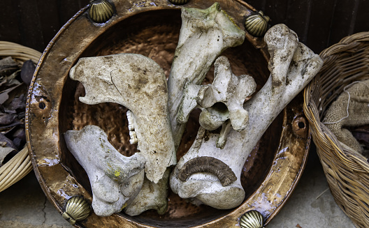 Detail of anima bones for witchcraft ritual