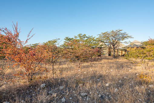 An exterior angle of a safari lodge at Etosha Oberland Lodge in Kunene Region, Namibia