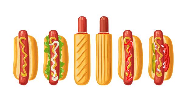 illustrations, cliparts, dessins animés et icônes de 6 types différents de hot-dog avec tomate, ketchup, mayonnaise, laitue, moutarde, oignon. icône plate de couleur vectorielle - hotdogging