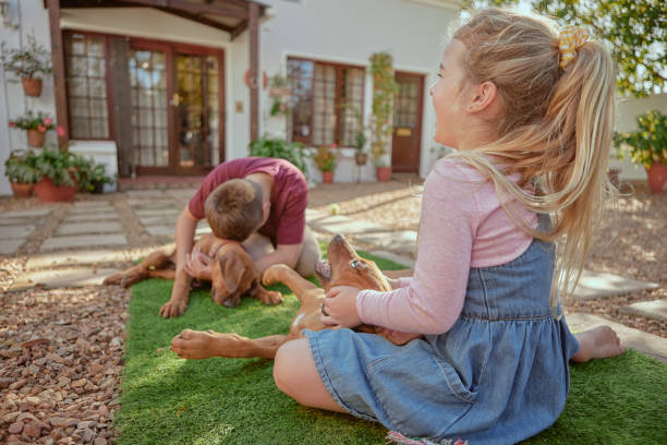 여름에는 화창한 날에 집 밖에서 애완견과 놀고있는 형제 자매. 귀여운 어린 소년과 소녀 아이들은 정원에서 두 마리의 리지 백 강아지와 재미 있고 유대감을 가지고 있습니다. - family home interior dog outdoors 뉴스 사진 이미지