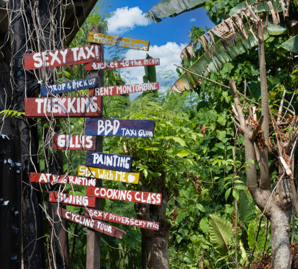 istock Directional signs in the rainforest 1410605714