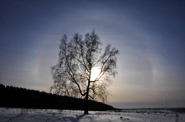 A solar halo over the winter panorama of the Sylva river valley, taken from the top of the Spasskaya mountain.