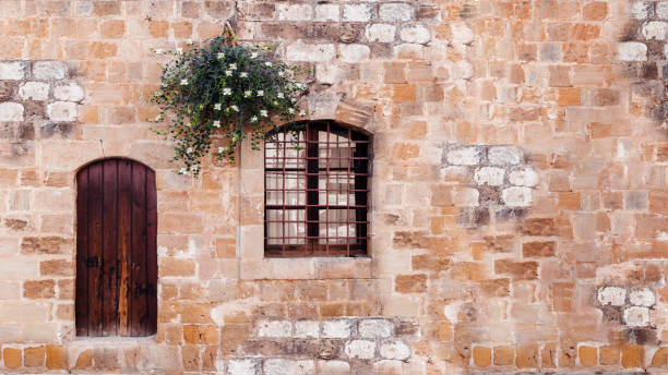 Old door with window and flowering caper bush on stone wall, horizontal background