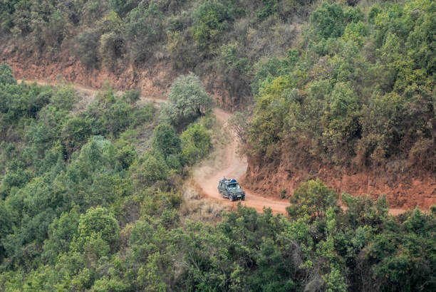 istock Safari in Tanzania 1410614616