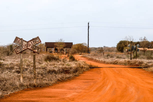 istock Safari in Tanzania 1410614781