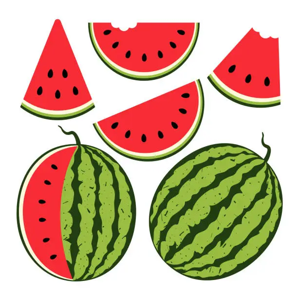 Vector illustration of Watermelon collection. Fresh and juicy watermelon slices. Vector illustration