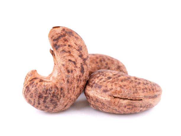 istock Cashew nuts in shell isolated on white background. Roasted and salted cashew nuts. 1410617666
