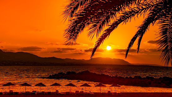 Un coucher de soleil sur des palmiers et la Promenade des Anglais à Nice