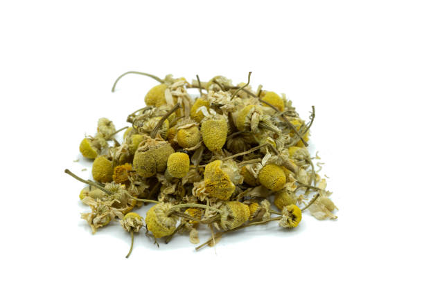 herbata rumiankowa izolowana na białym tle - chamomile plant daisy spa treatment chamomile zdjęcia i obrazy z banku zdjęć