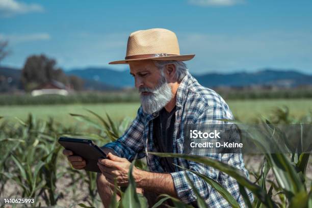 Farmer Stock Photo - Download Image Now - Agriculture, Technology, Digital Tablet