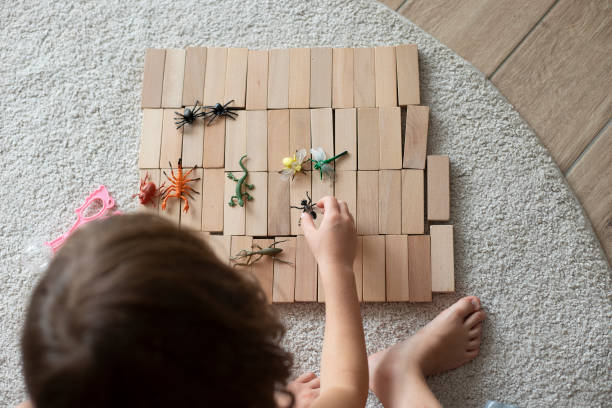 child girl playing with wooden blocks and toy animals on the floor stock photo
