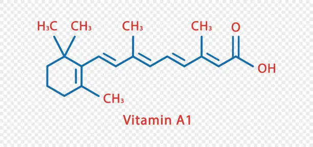 Vector illustration of Vitamin A1 chemical formula. Vitamin A1 structural chemical formula isolated on transparent background.