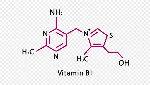 Vector illustration of Vitamin B1 chemical formula. Vitamin B1 structural chemical formula isolated on transparent background.