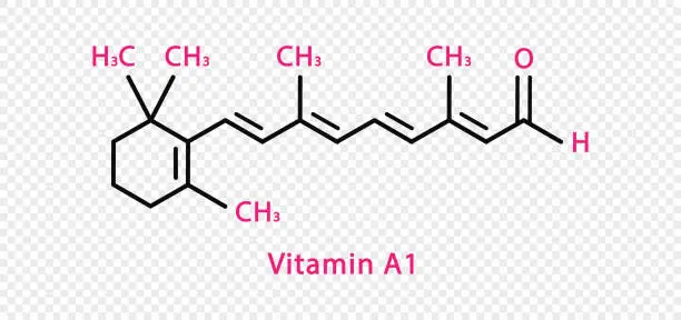 Vector illustration of Vitamin A1 chemical formula. Vitamin A1 structural chemical formula isolated on transparent background.