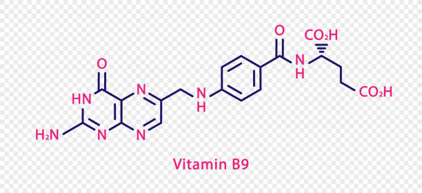 ilustrações, clipart, desenhos animados e ícones de fórmula química vitamina b9. fórmula química estrutural vitamina b9 isolada em fundo transparente. - ácido fólico