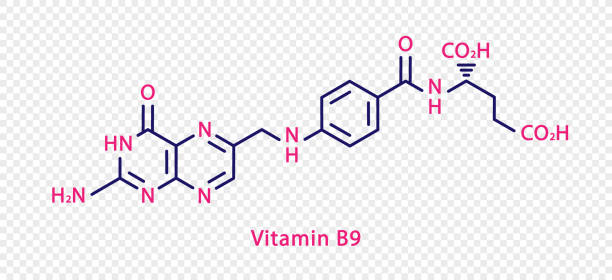 химическая формула витамина b9. витамин в9 структурно-химическая формула выделена на прозрачном фоне. - healthcare and medicine medical exam capsule vitamin a stock illustrations