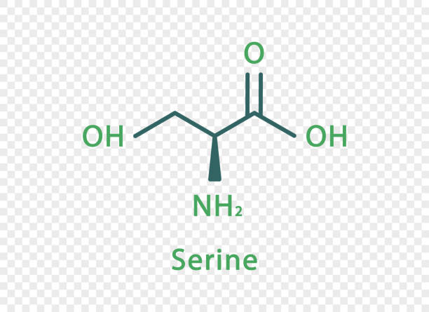 wzór chemiczny seryny. serynowy wzór strukturalny chemiczny wyizolowany na przezroczystym tle. - s stock illustrations