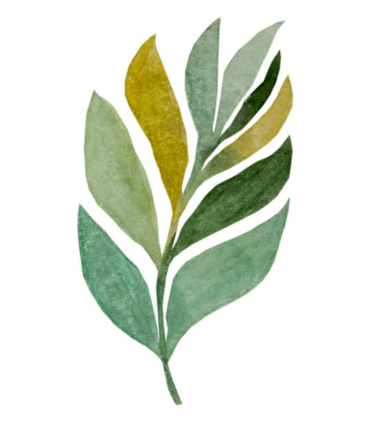 추상 열대 잎 - tree abstract painted image vector stock illustrations