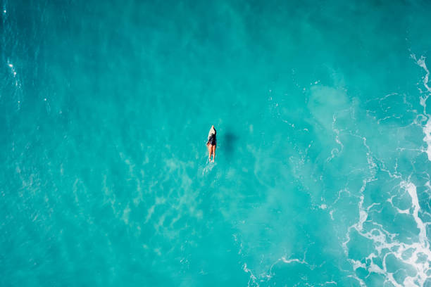 chica surfista en tabla de surf en océano azul esperando ola. vista aérea - hawaii islands summer surfboard tropical climate fotografías e imágenes de stock