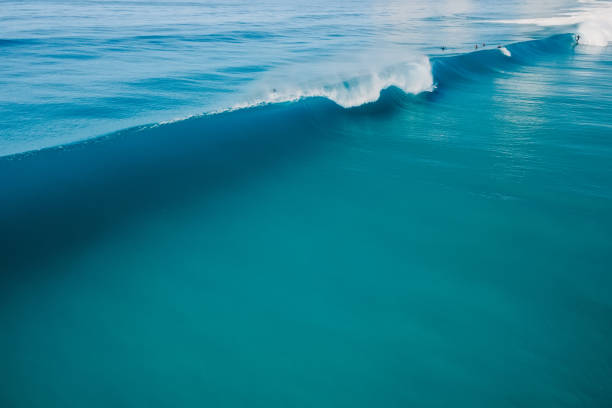 istock Blue perfect wave in tropical ocean. Breaking barrel wave. Aerial view 1410636464