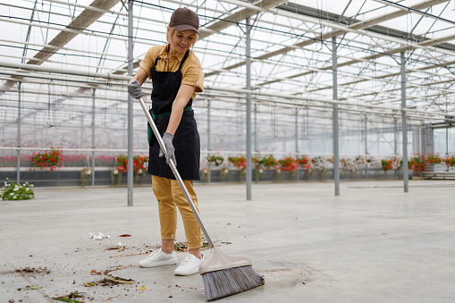 Female gardener sweeping floor with brooms in greenhouse