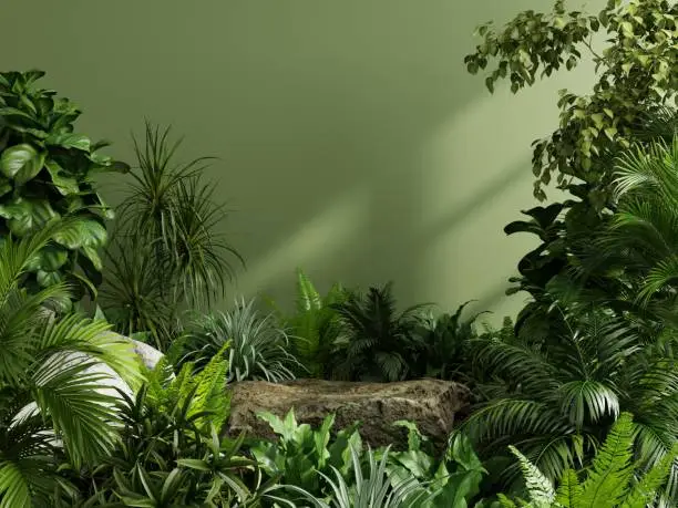 Photo of Stone platform pedestal in tropical forest for product presentation and green forest.