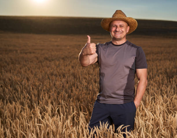 istock Happy farmer in a wheat field 1410648185